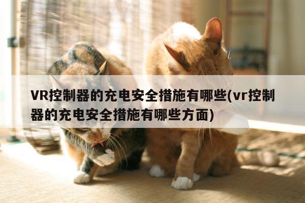 VR控制器的充电安全措施有哪些(vr控制器的充电安全措施有哪些方面)【beat365唯一官网】