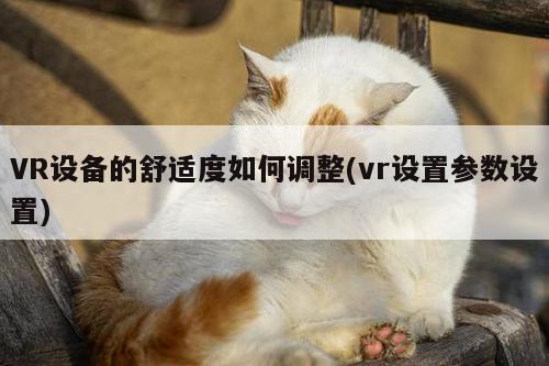 VR设备的舒适度如何调整(vr设置参数设置)：beat365唯一官网