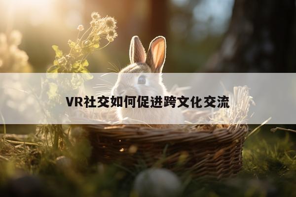 VR社交如何促进跨文化交流-beat365