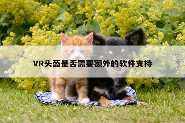 beat365-VR头盔是否需要额外的软件支持