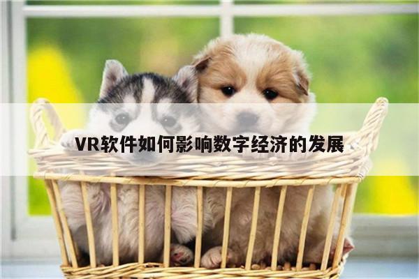 beat365_VR软件如何影响数字经济的发展